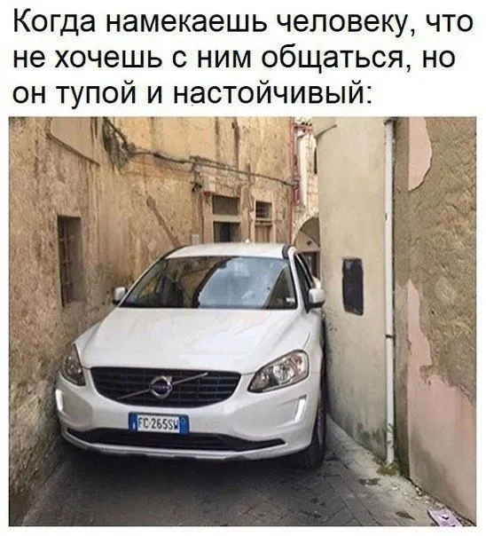 Смешные картинки с надписями от 3 ноября 2017