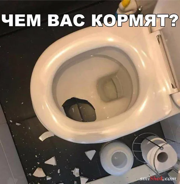 Смешные картинки с надписями от 3 ноября 2017