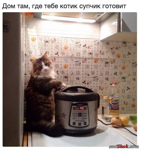 Смешные картинки с надписями от 3 ноября 2017
