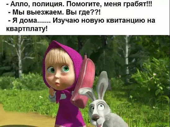 Смешные картинки с надписями от 3 ноября 2017