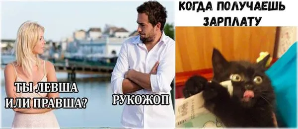 Смешные картинки с надписями от 13 ноября 2017
