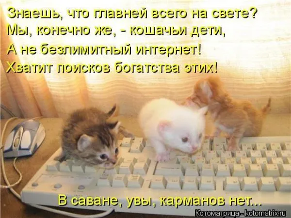Без кота жизнь не та! Порция смешных котоматриц (21 фото)
