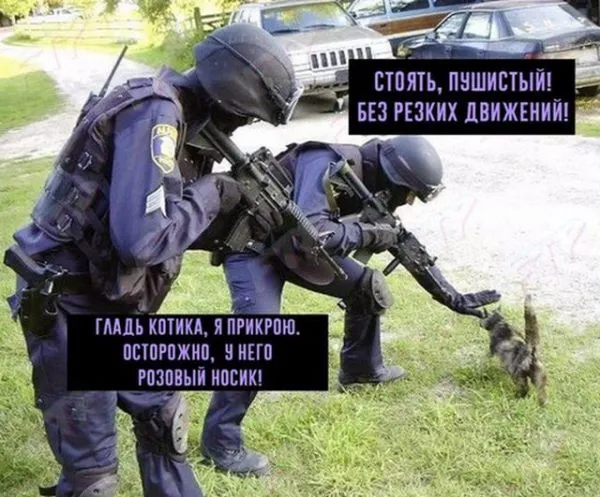 Смешные картинки с надписями от 22 ноября 2017
