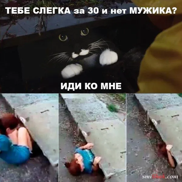 Смешные картинки с надписями от 22 ноября 2017