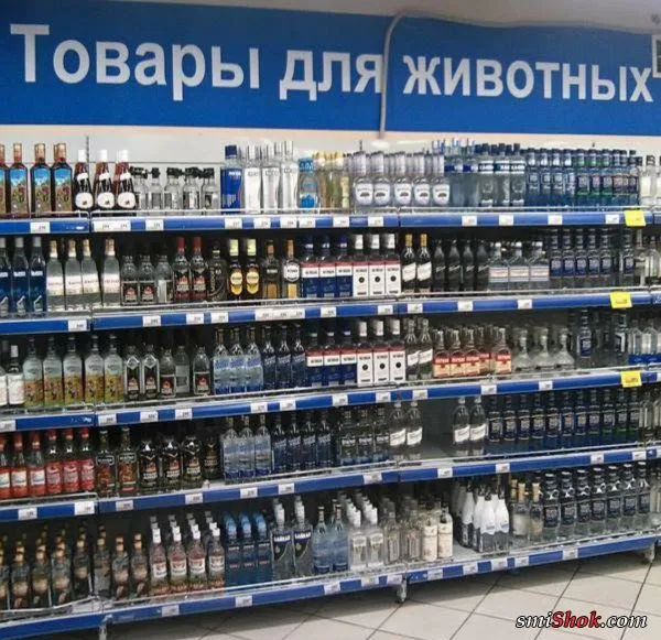 Смешные картинки с надписями от 22 ноября 2017