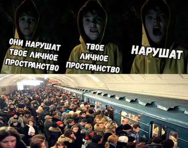 Смешные картинки с надписями от 22 ноября 2017