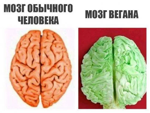 Смешные картинки с надписями от 5 декабря 2017