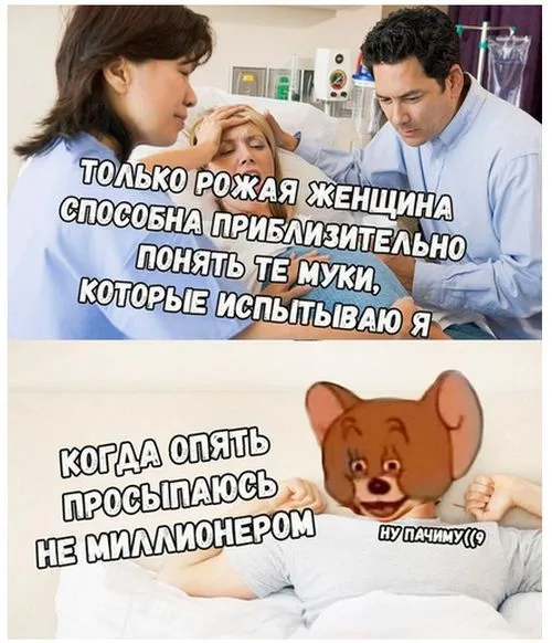 Смешные картинки с надписями от 5 декабря 2017