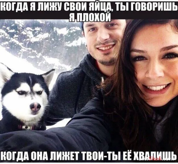 Смешные картинки с надписями от 5 декабря 2017