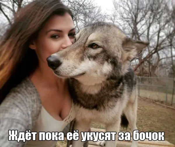 Смешные картинки с надписями от 5 декабря 2017