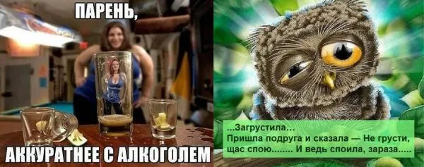 Смешные картинки с надписями от 5 декабря 2017