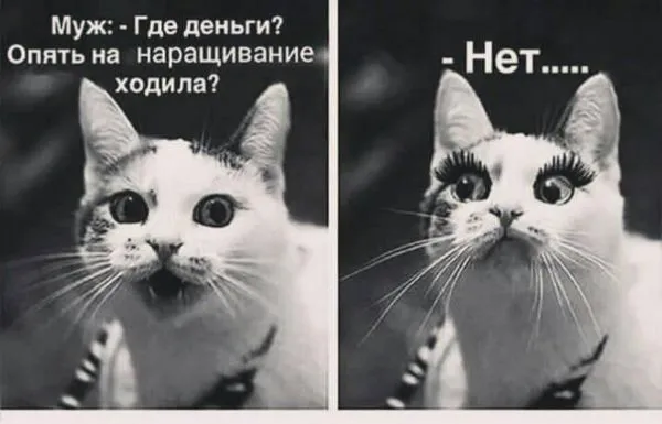 Смешные картинки с надписями от 18 февраля 2018 Смешные картинки с надписями от 18 февраля 2018