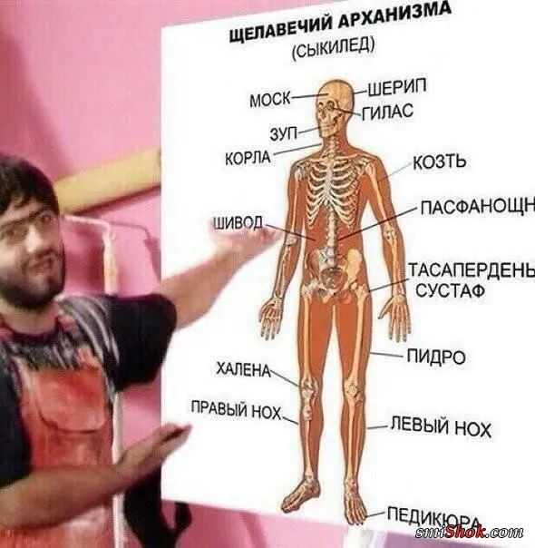 Смешные картинки с надписями от 18 февраля 2018 Смешные картинки с надписями от 18 февраля 2018