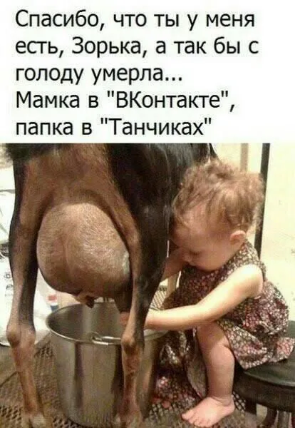 Смешные картинки с надписями от 18 февраля 2018 Смешные картинки с надписями от 18 февраля 2018