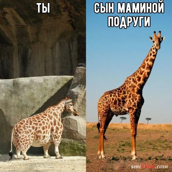 Смешные картинки с надписями от 18 февраля 2018 Смешные картинки с надписями от 18 февраля 2018