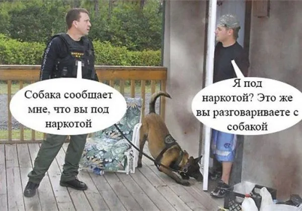 Нестандартный юмор в картинках с надписями от 4 марта 2018