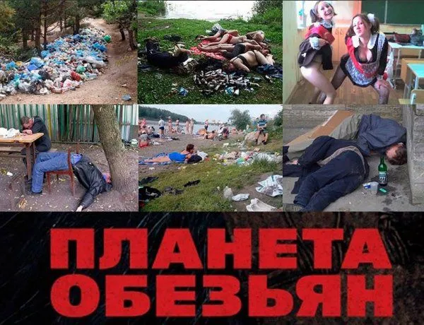 Нестандартный юмор в картинках с надписями от 4 марта 2018