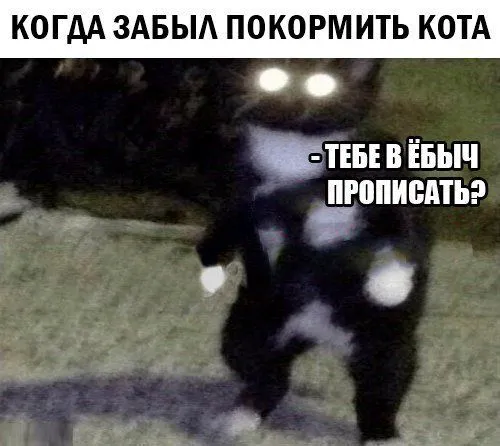 Смешные картинки с надписями от 2 апреля 2018 Смешные картинки с надписями от 2 апреля 2018