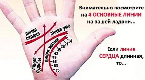 Прочти это – и ты сможешь гадать по руке самостоятельно!