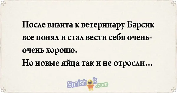 Свежие анекдоты от 20 мая 2018