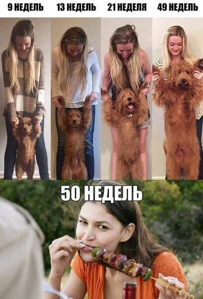 Нестандартный юмор в картинках с надписями от 25 мая 2018
