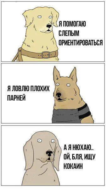 Смешные картинки с надписями от 16 июля 2018