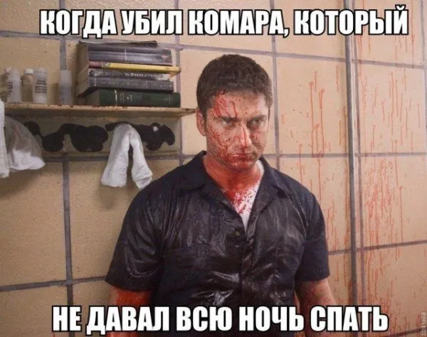 Смешные картинки с надписями от 16 июля 2018