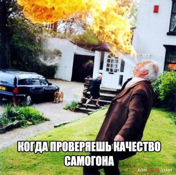 Смешные картинки с надписями от 16 июля 2018