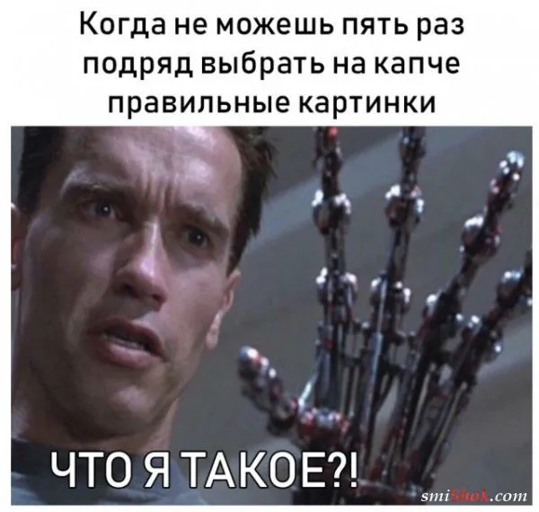 Смешные картинки с надписями от 3 октября 2018