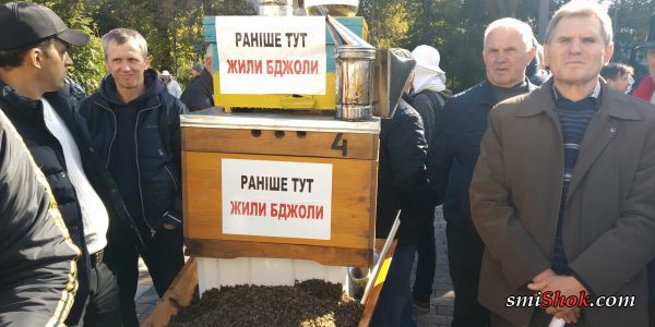 Гроб с мертвыми пчелами, состоялся митинг пасечников возле Верховной Рады