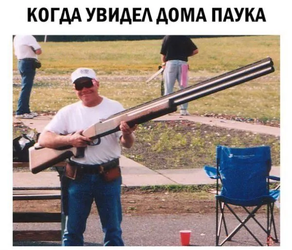 Смешные картинки с надписями от 29 октября 2018
