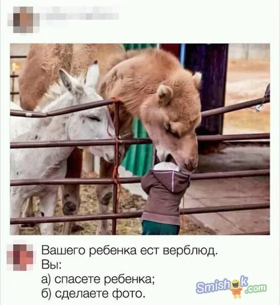 Смешные картинки с надписями от 29 октября 2018
