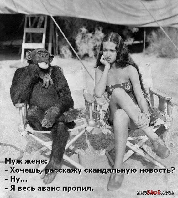 Смешные картинки с надписями от 2 января 2019 Смешные картинки с надписями от 2 января 2019