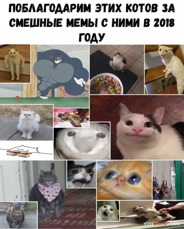 Смешные картинки с надписями от 2 января 2019 Смешные картинки с надписями от 2 января 2019