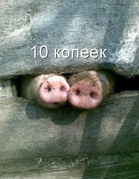 Смешные картинки с надписями от 2 января 2019 Смешные картинки с надписями от 2 января 2019