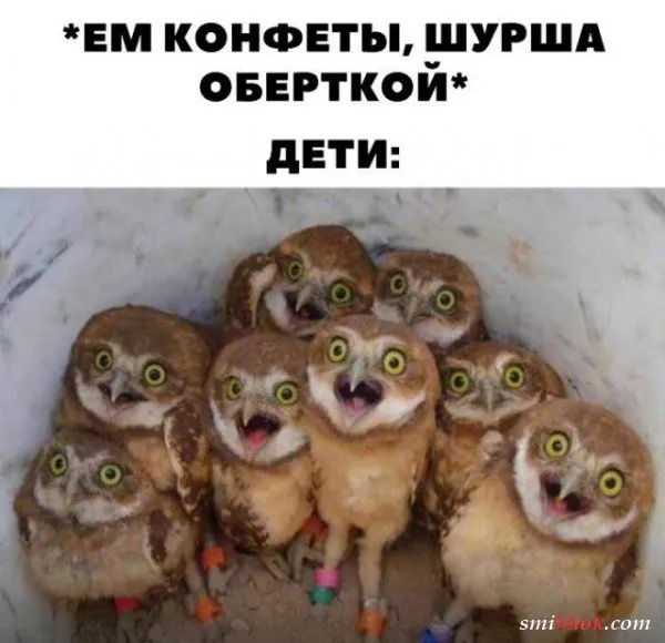 Подборка забавных мемов о буднях матерей Подборка забавных мемов о буднях матерей