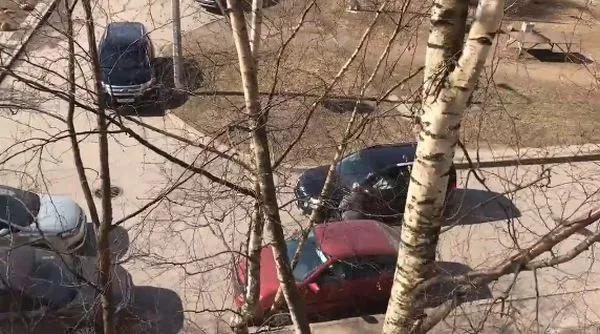 Упрямая мадам за рулем автомобиля