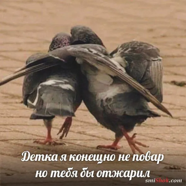 Нестандартный юмор от 6 августа 2019