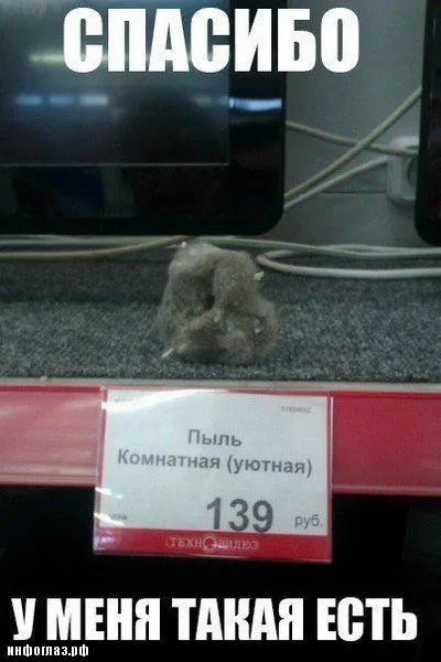 Словесные перлы из интернета (30 фото)