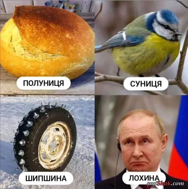 Политический юмор от 08 марта 2022 Политический юмор от 08 марта 2022