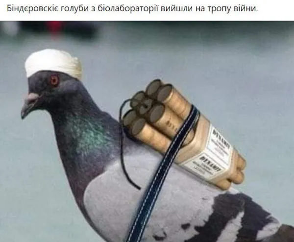 Политический юмор от 14 марта 2022 Политический юмор от 14 марта 2022