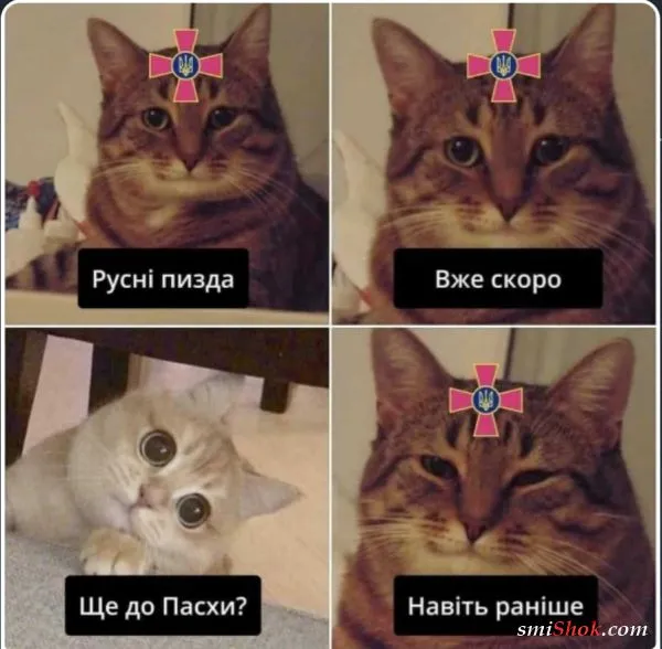 Политический юмор от 19 марта 2022