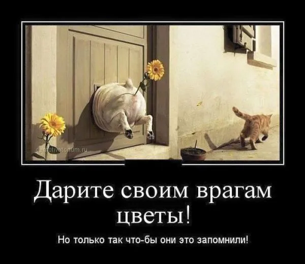 Политический юмор от 7 апреля 2022