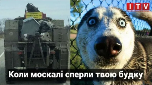 Политический юмор от 10 апреля 2022