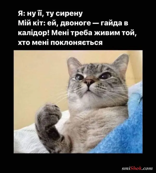 Политический юмор от 14 апреля 2022
