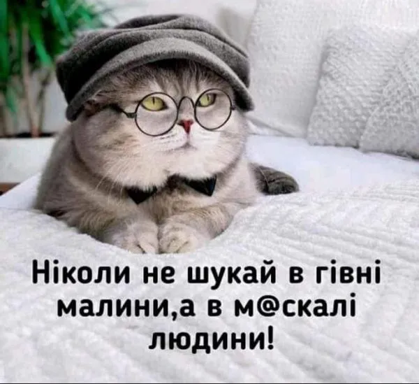 Политический юмор от 20 апреля 2022 Политический юмор от 20 апреля 2022