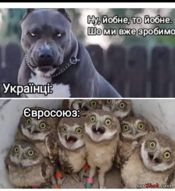 Политический юмор от 3 мая 2022 Политический юмор от 3 мая 2022