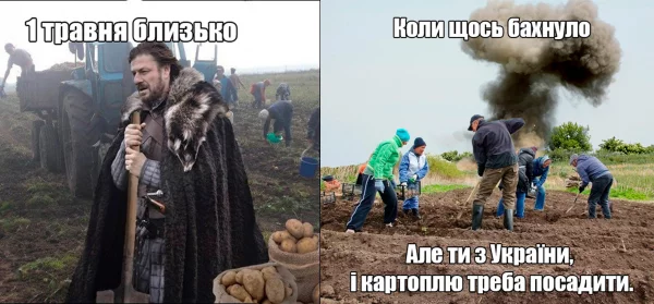 У світі є лише одна сила, здатна поставити Українців на коліна! Це картопля. Жарти та приколи про картоплю