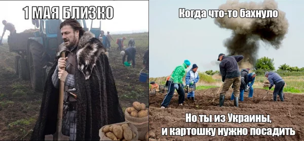 В мире есть всего лишь одна сила, способная поставить Украинцев на колени! Это картошка.