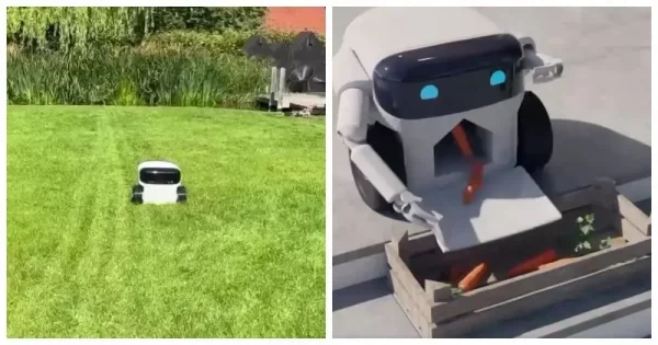 Willow X: ідеальний робот-фермер для сільського господарства